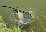 fischen kln